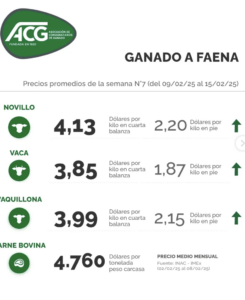 Lee más sobre el artículo Firmeza y demanda con entradas cortas en el mercado ganadero